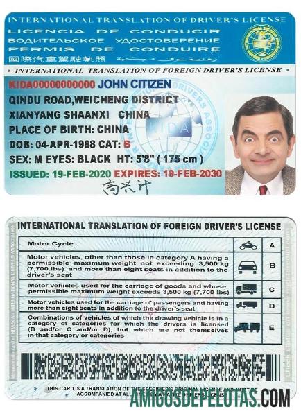 Tradução Internacional de Carteira de Habilitação exemplo real